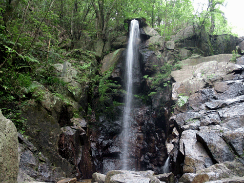 1111091533f93a33b625530a72.gif