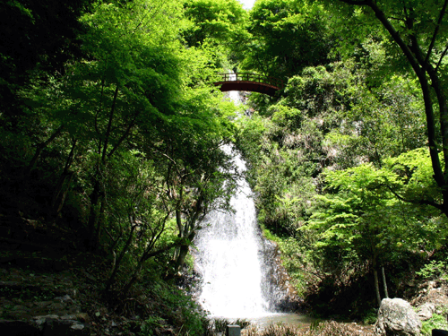 111109153528a52a347bdf6689.gif