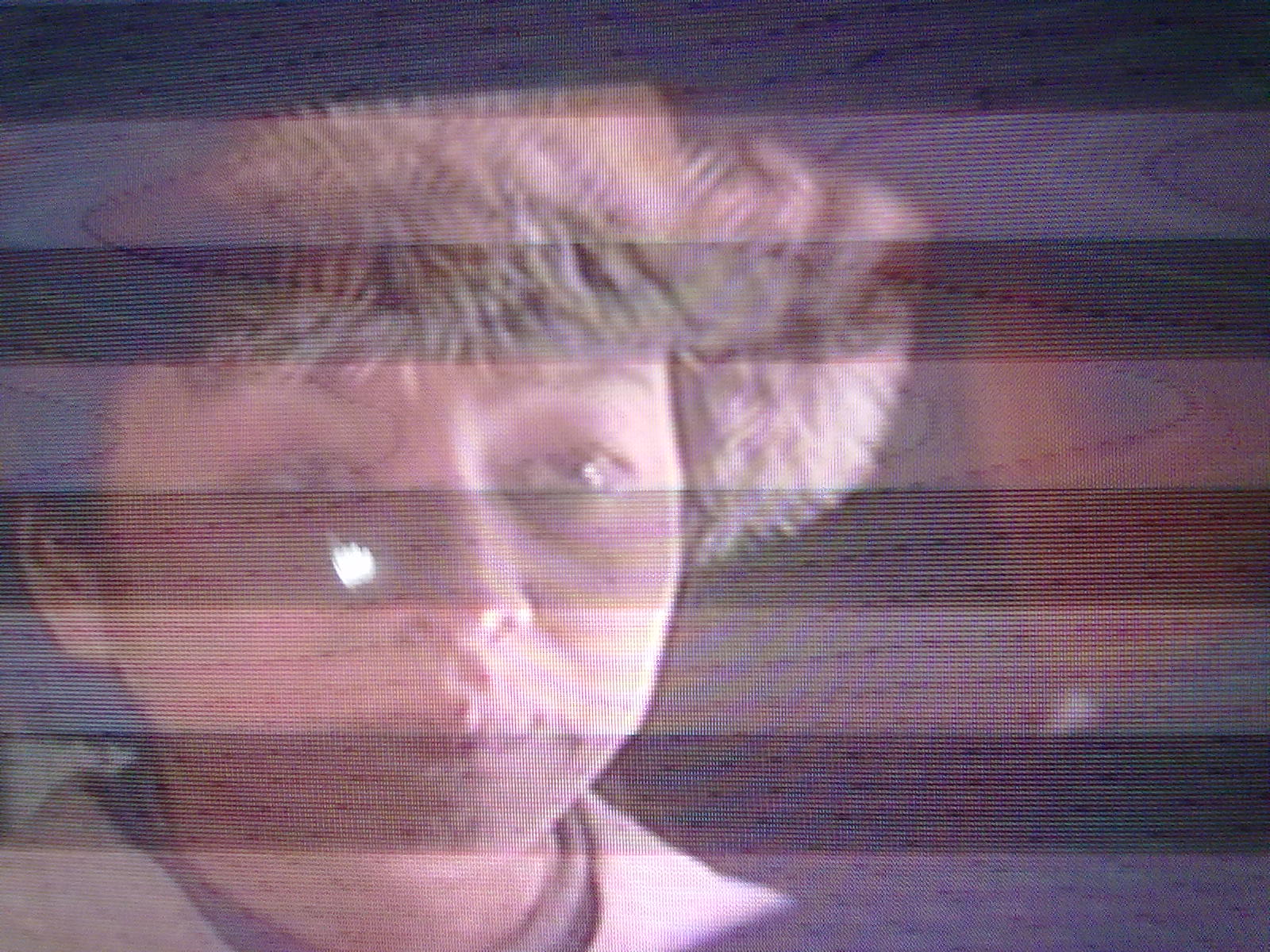 20111116044.jpg