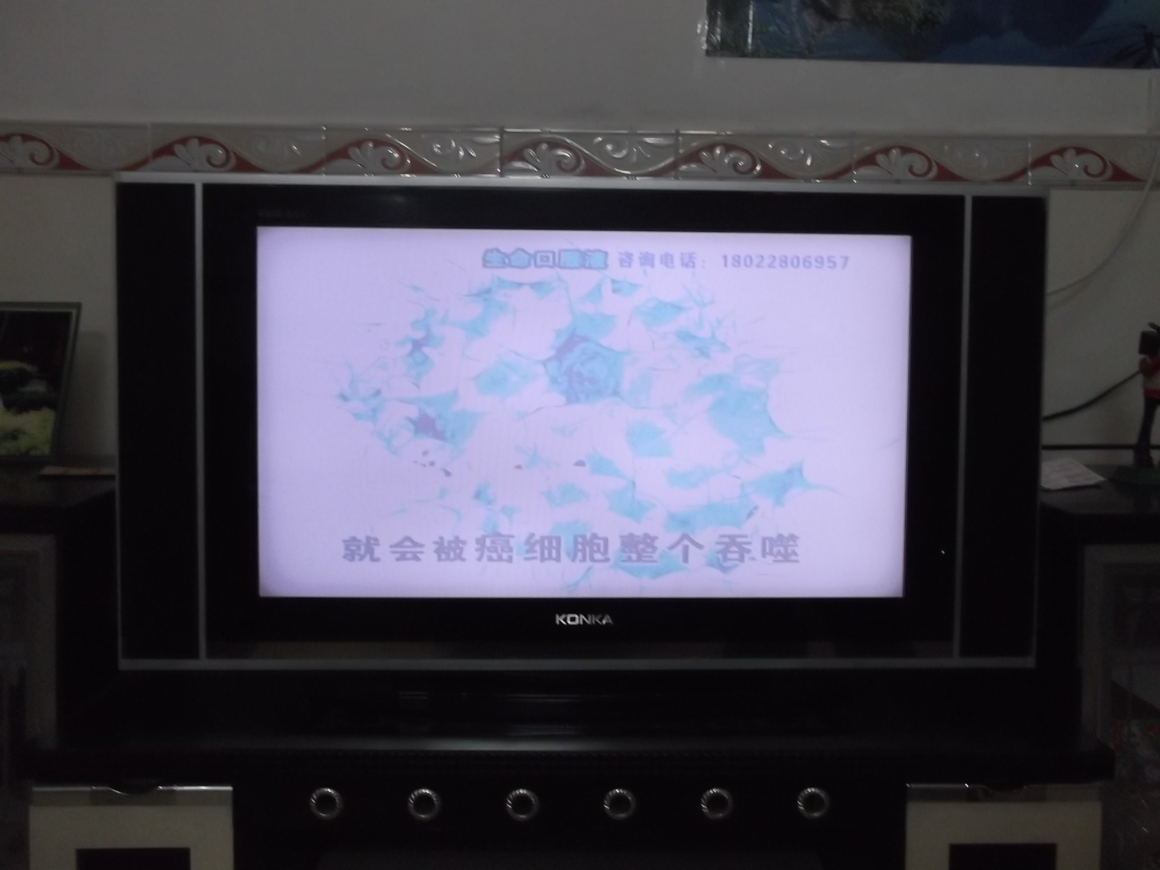 DSCF2700.JPG