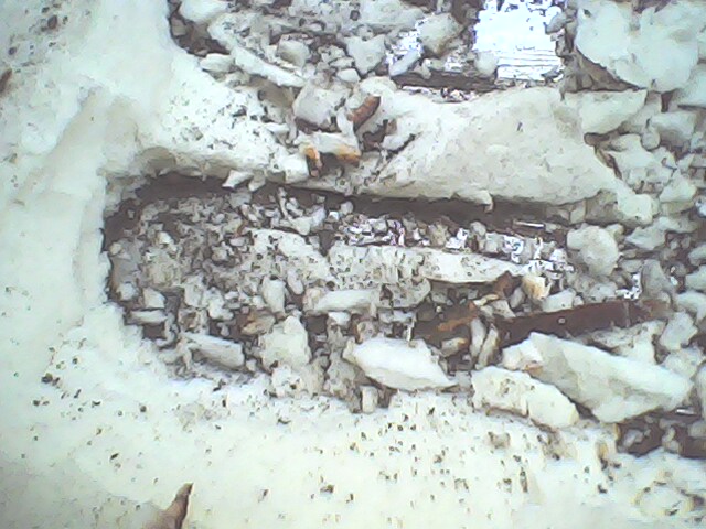 IMG0042A.jpg