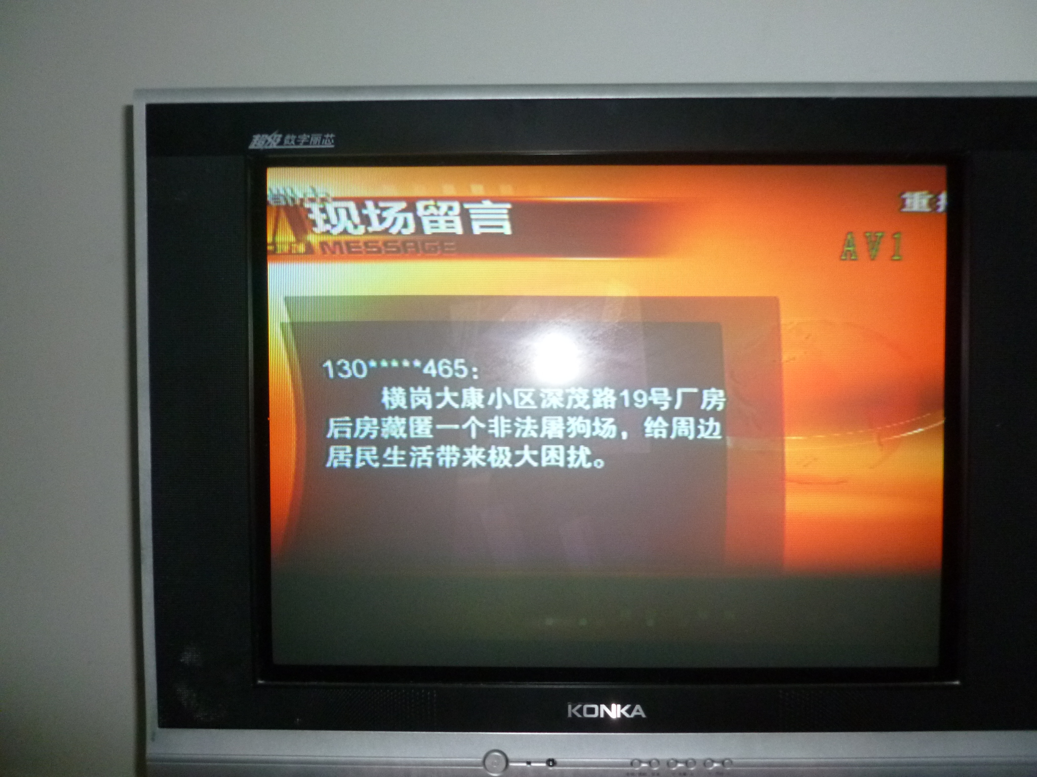 P1010996.JPG