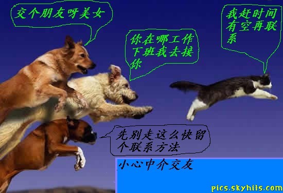 032191200572610525489678.jpg