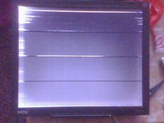 IMG0259A.jpg
