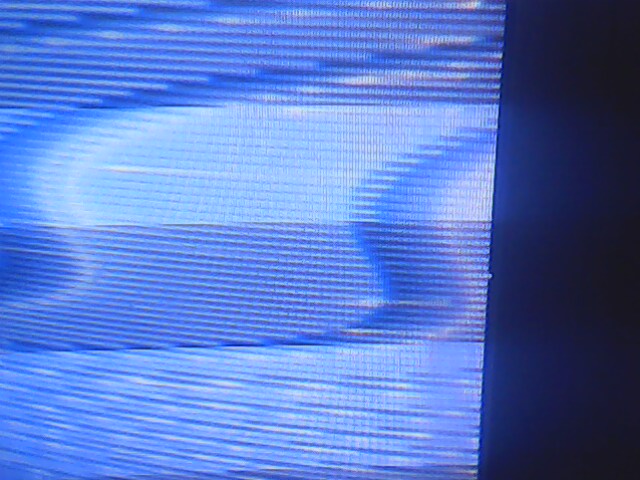 IMG0152A.jpg