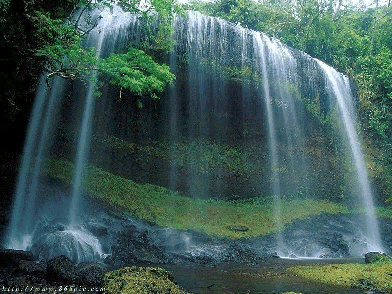 111109152845bda17e181b4bd7.gif