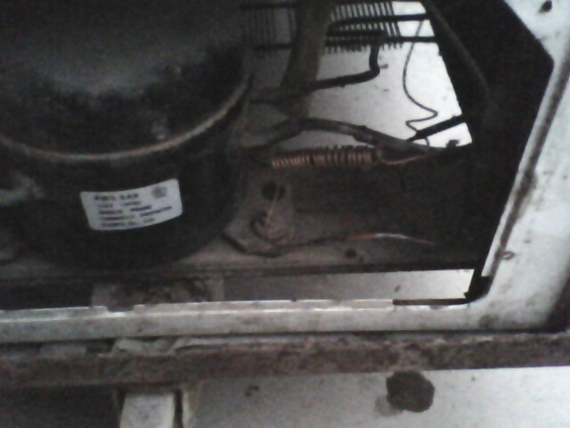 IMG0450A.jpg