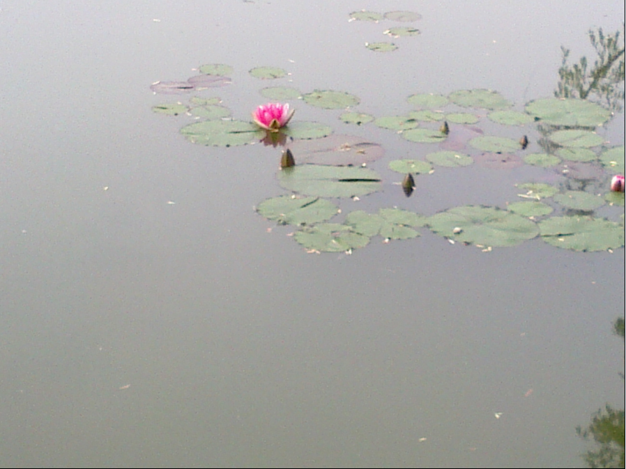 QQͼ20120503080425.png