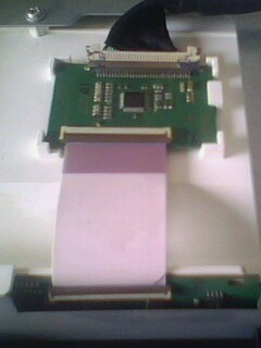 IMG0209A.jpg