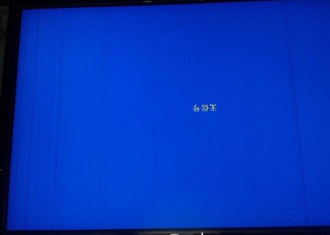 δ1.jpg