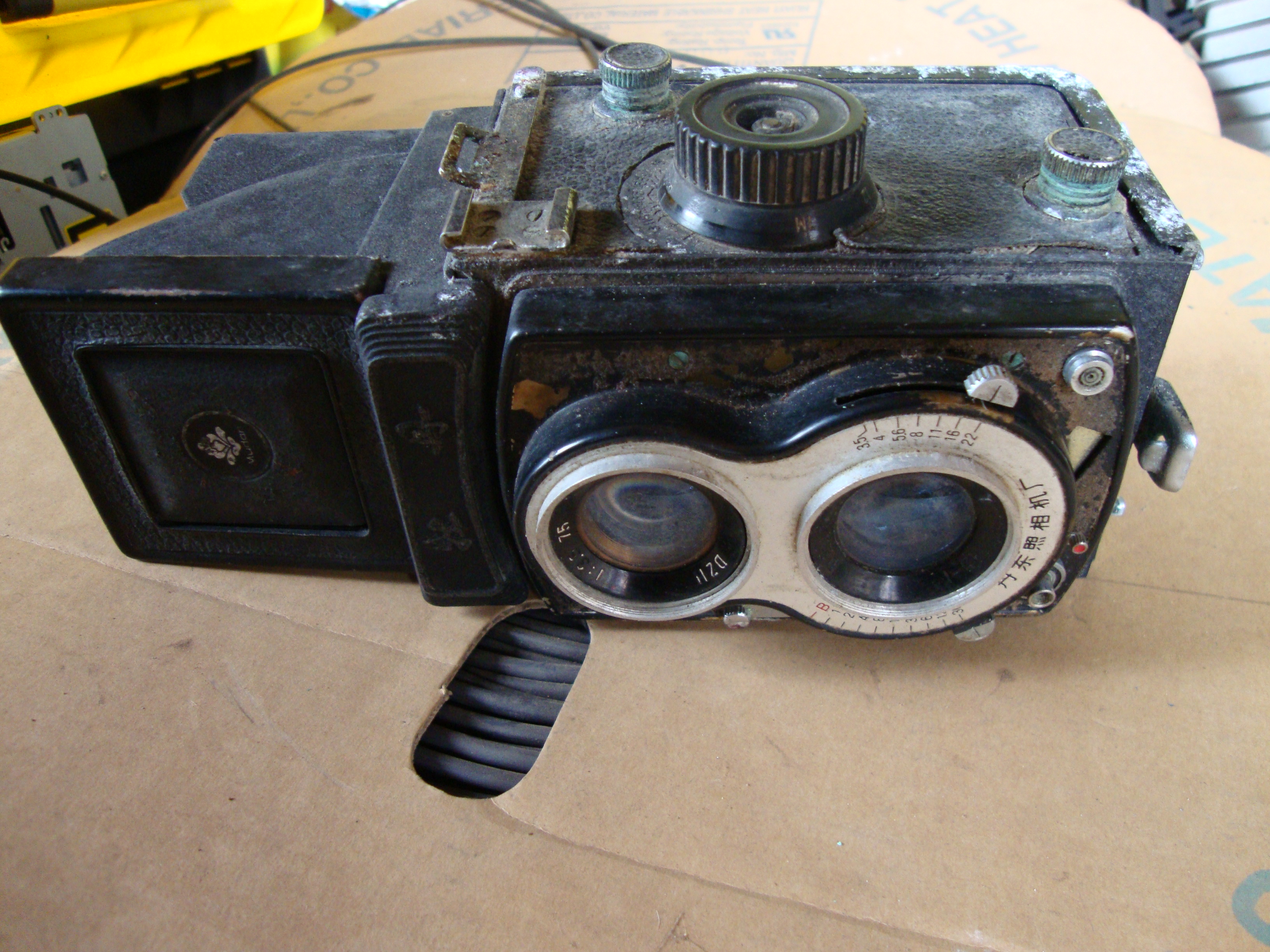 DSC08534.JPG