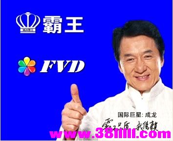 霸王FVD 999L 8202LD 25T80 不带内喇叭.jpg