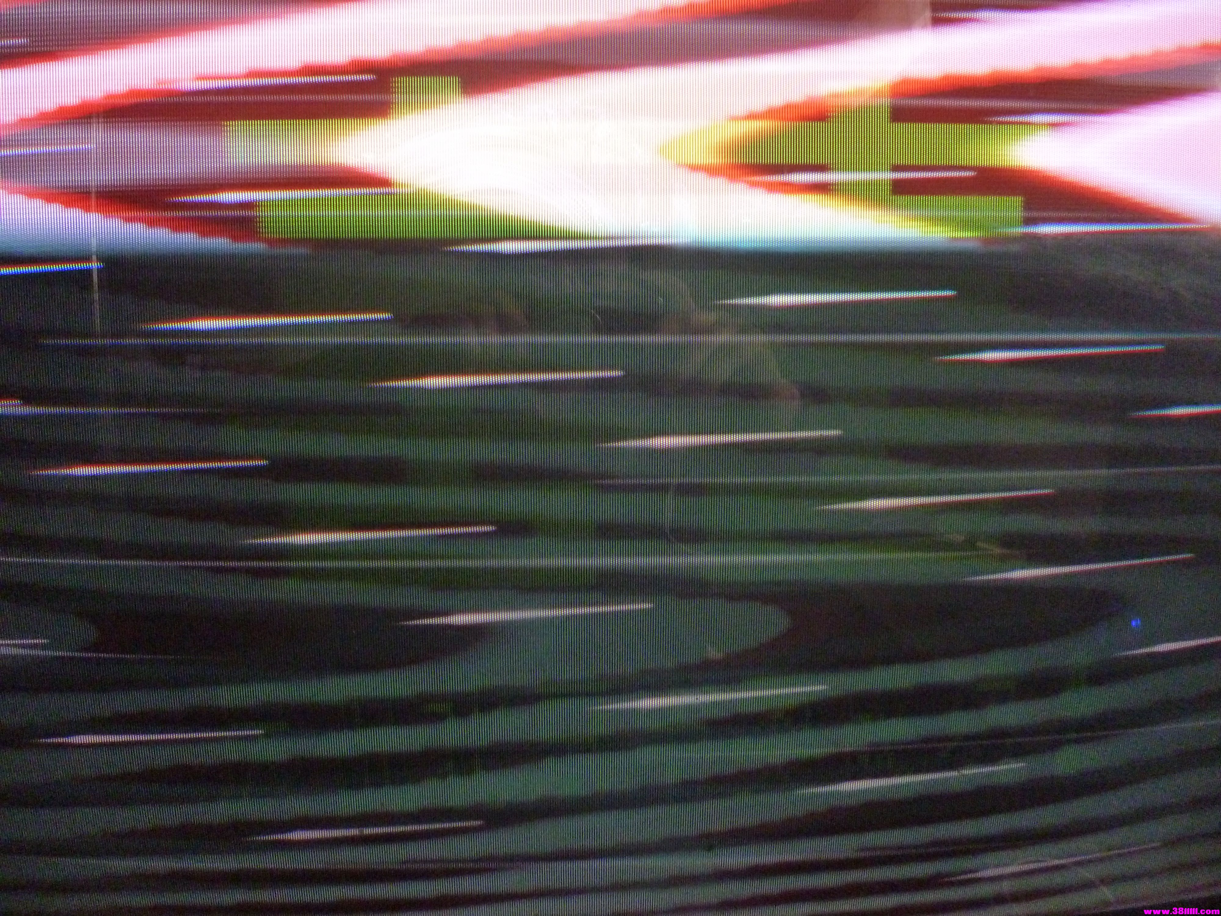 P1000133.JPG