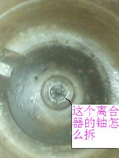 IMG0007A.jpg