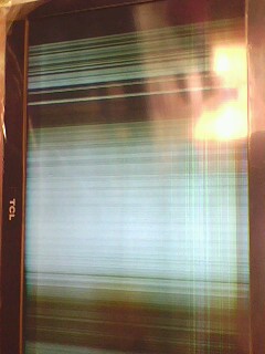 IMG0229A.jpg