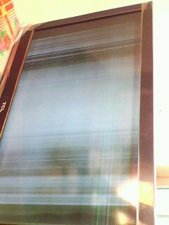 IMG0230A.jpg