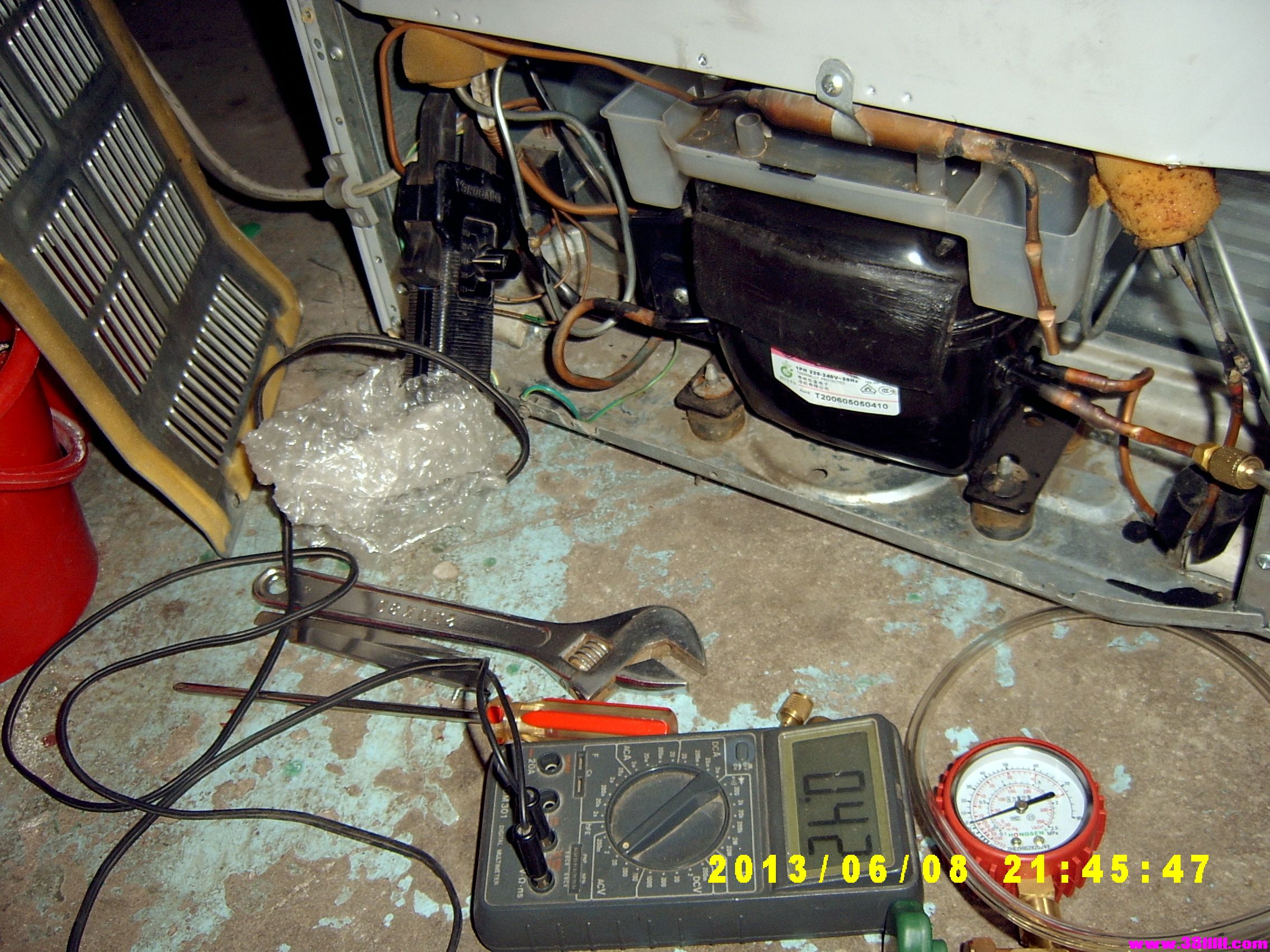 SV405281.JPG