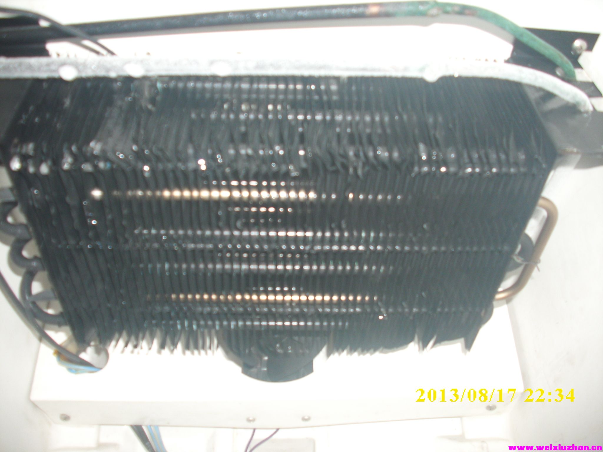 DSCI6772.JPG