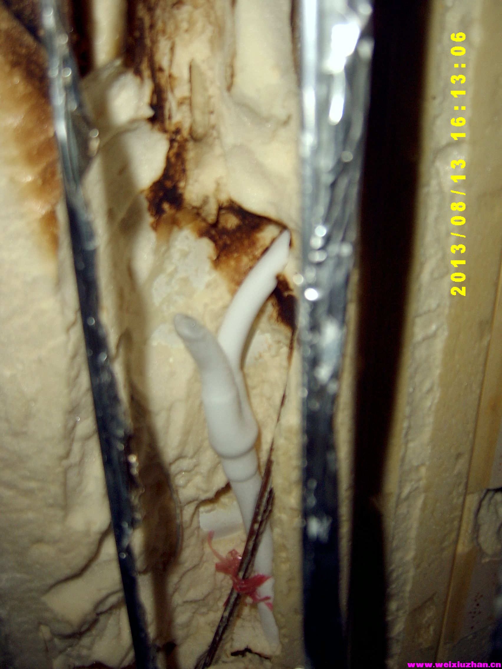 SV405622.JPG
