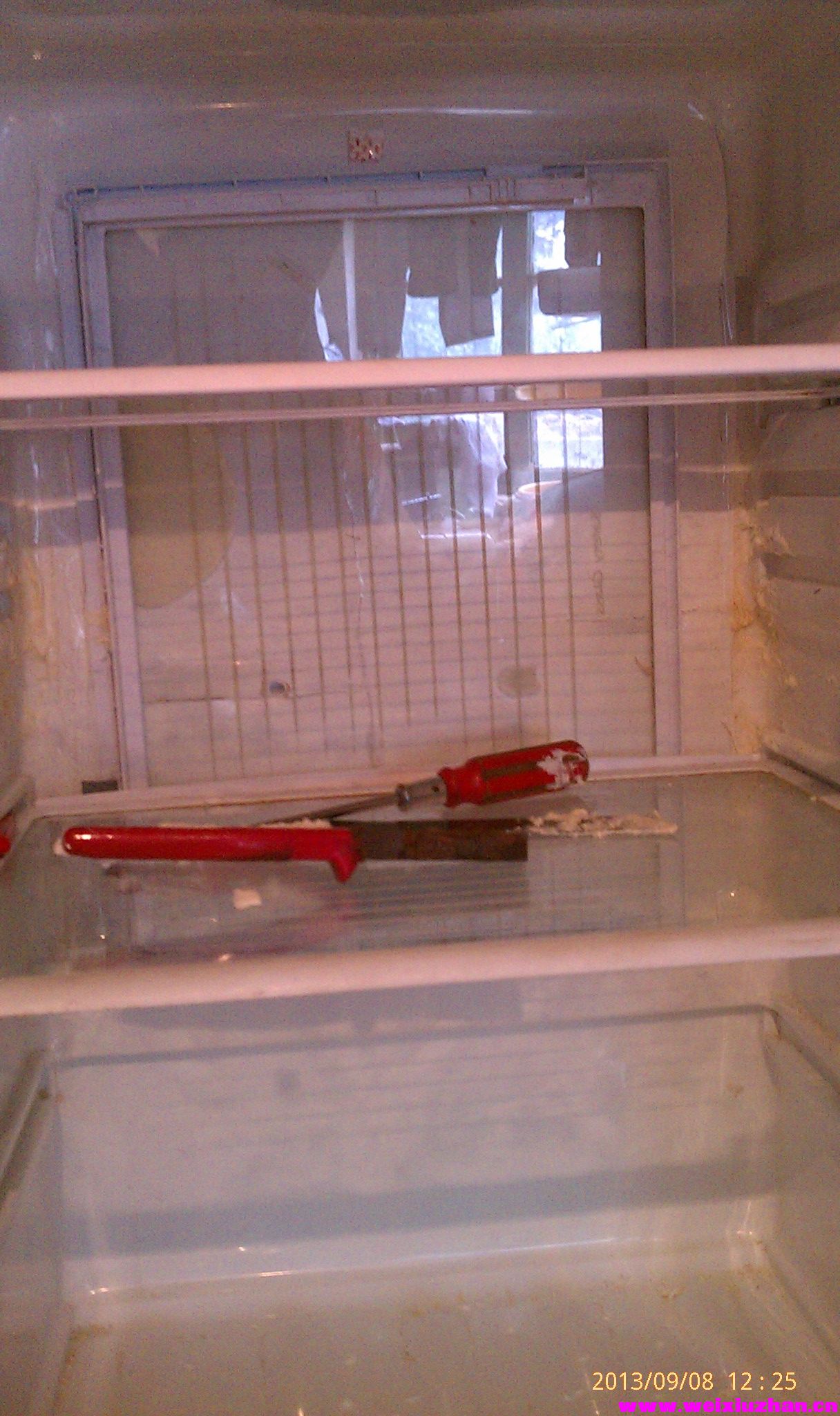 IMAG0108.jpg