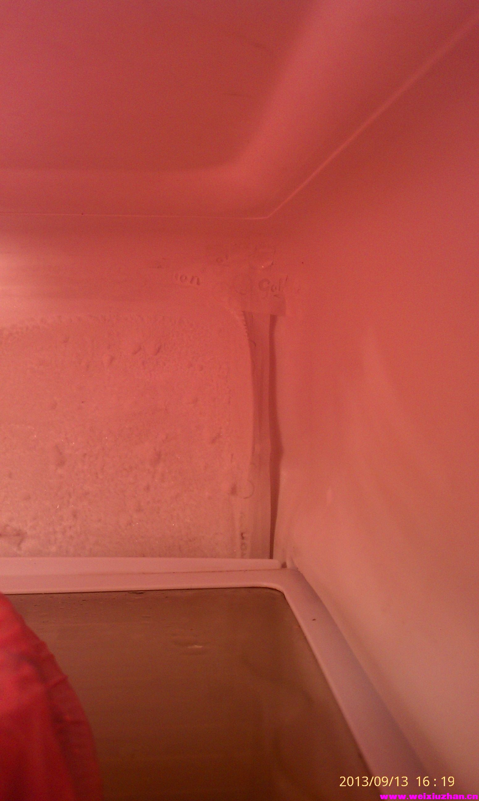 IMAG0187.jpg