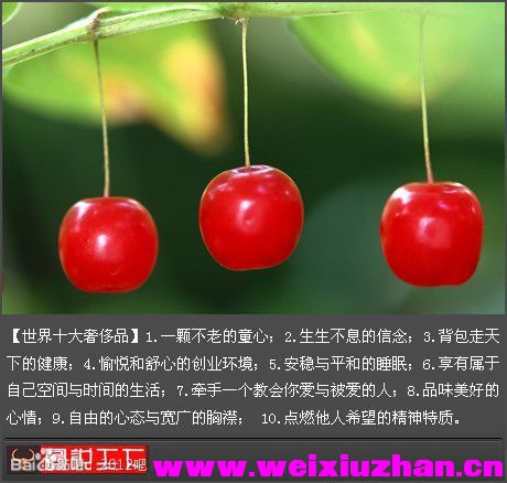 b0ebba1bb051f8194a3a9be5dbb44aed2f73e778.jpg