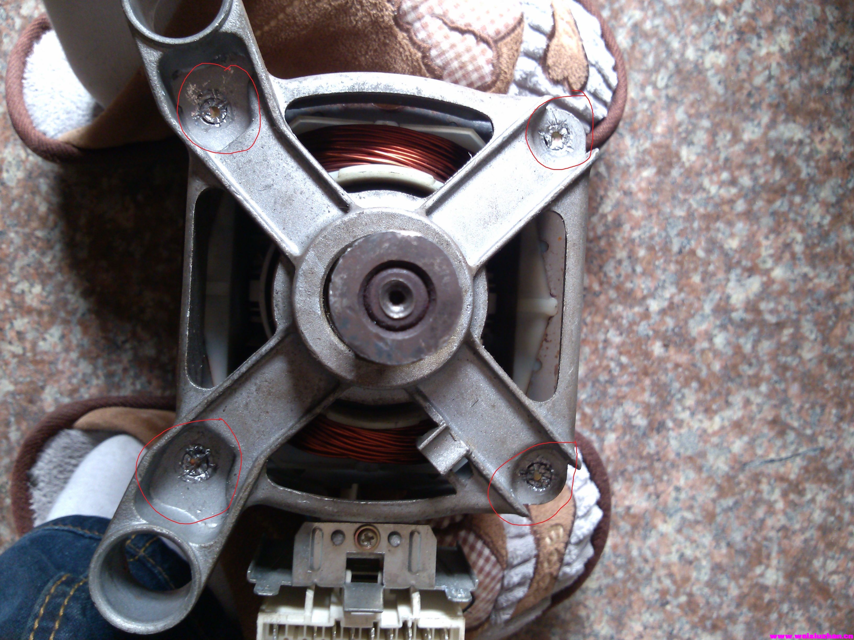 CAM00237.jpg