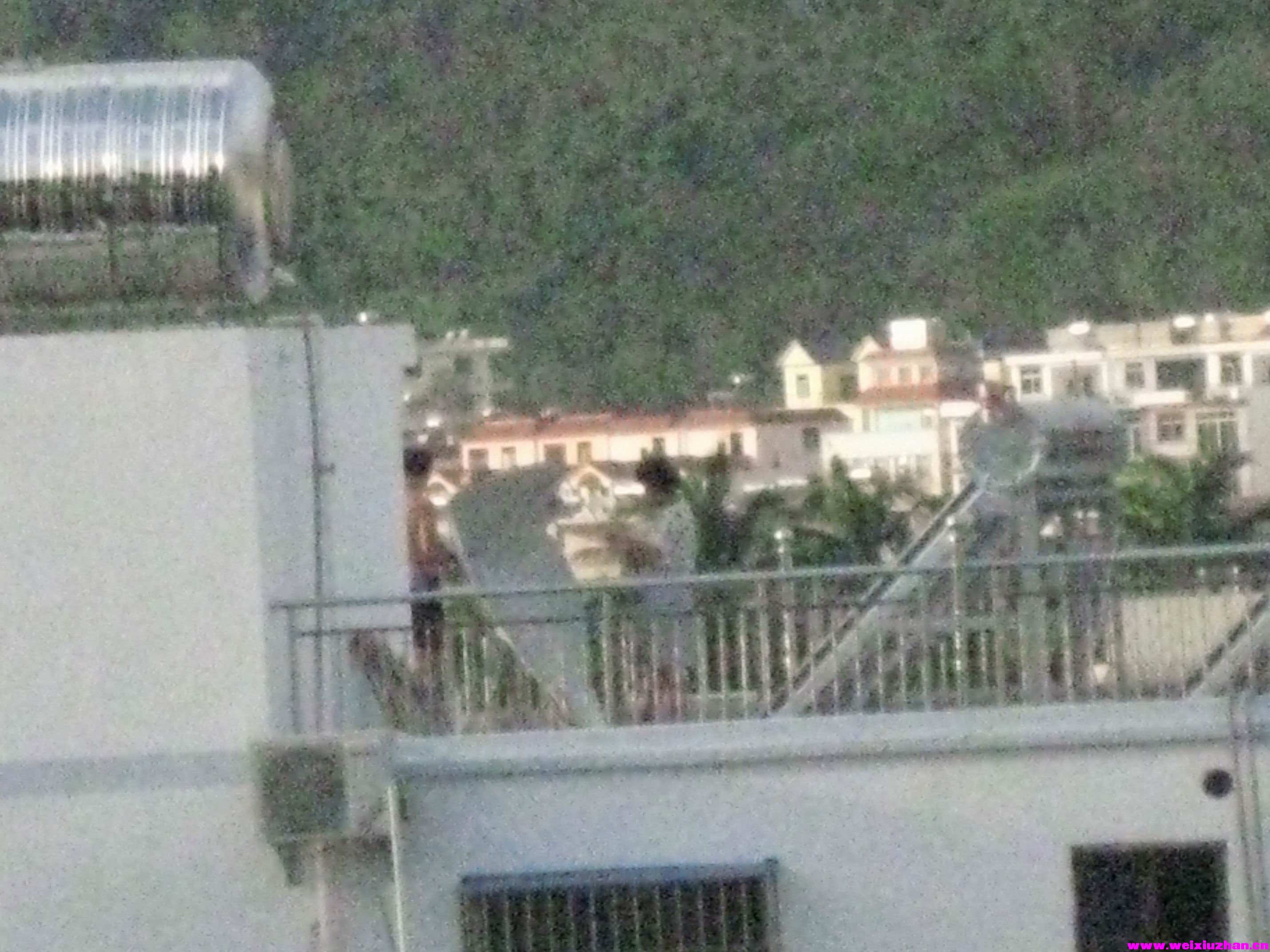 IMG_2925.JPG