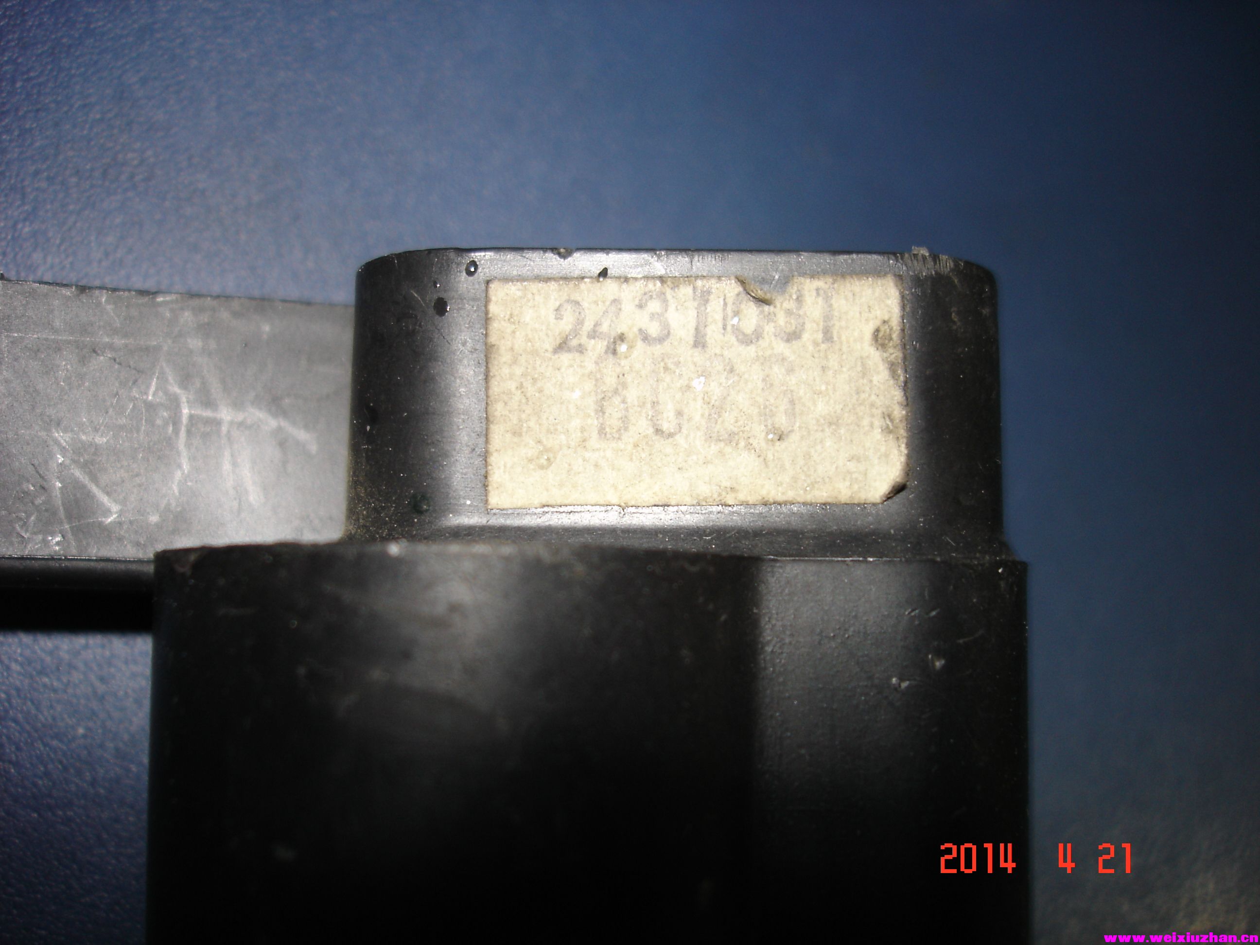 DSC02585.JPG