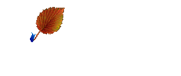 дֶ.gif