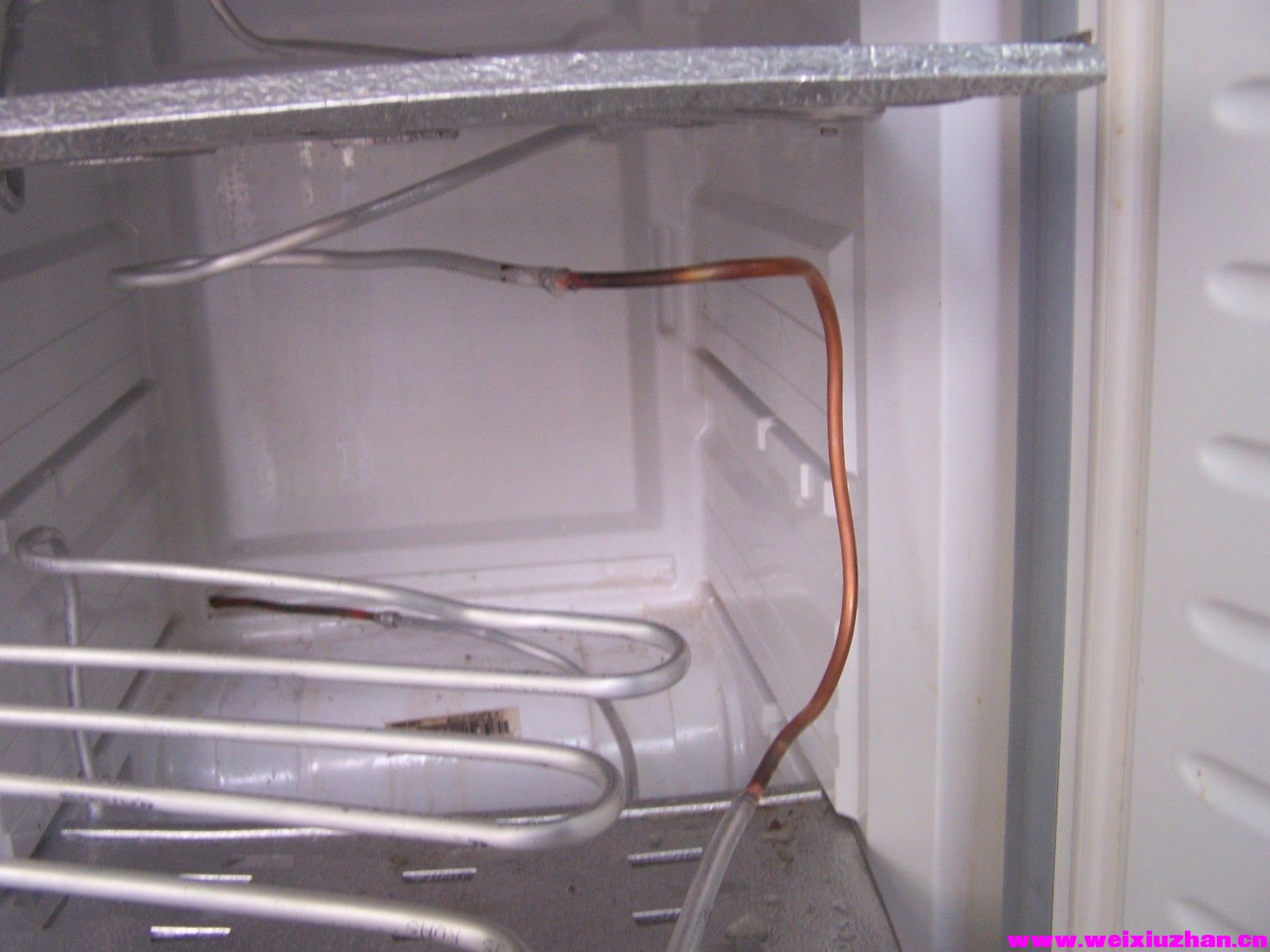 100_4303.JPG