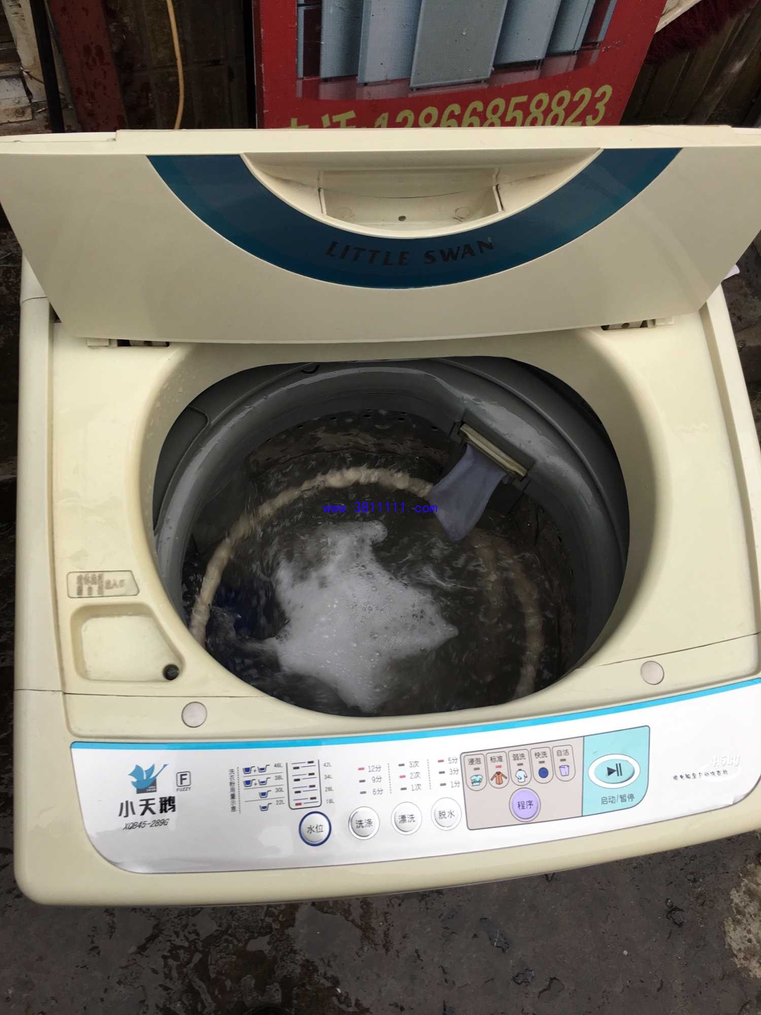 074255sccnzgzjtlb87col.jpg