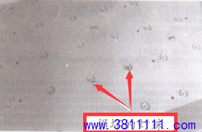 L43AL88ҺӺıϼ.png