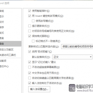 快捷排版用Word格式跟踪