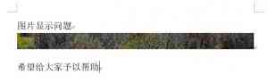 Word2013ͼƬʾȫ