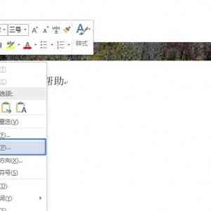Word2013ͼƬʾȫ