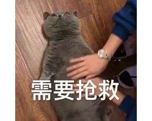 ֻ֪ôɾļУֲֻڴ챬