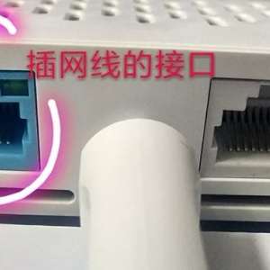 С·ʹֻã