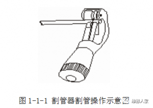 豸װάǯܹѵ