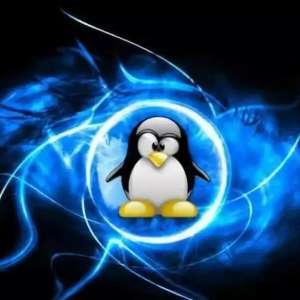 Գװlinuxϵͳлwindows𣿻