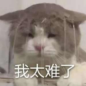 գܻû