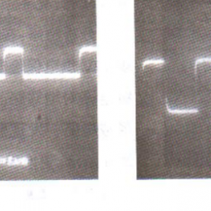 ά26S16iwҺDC-DCת·ϼ