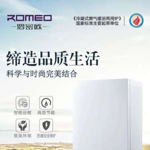 采暖与供热水二合一壁挂炉已经成为居家生活的必需品